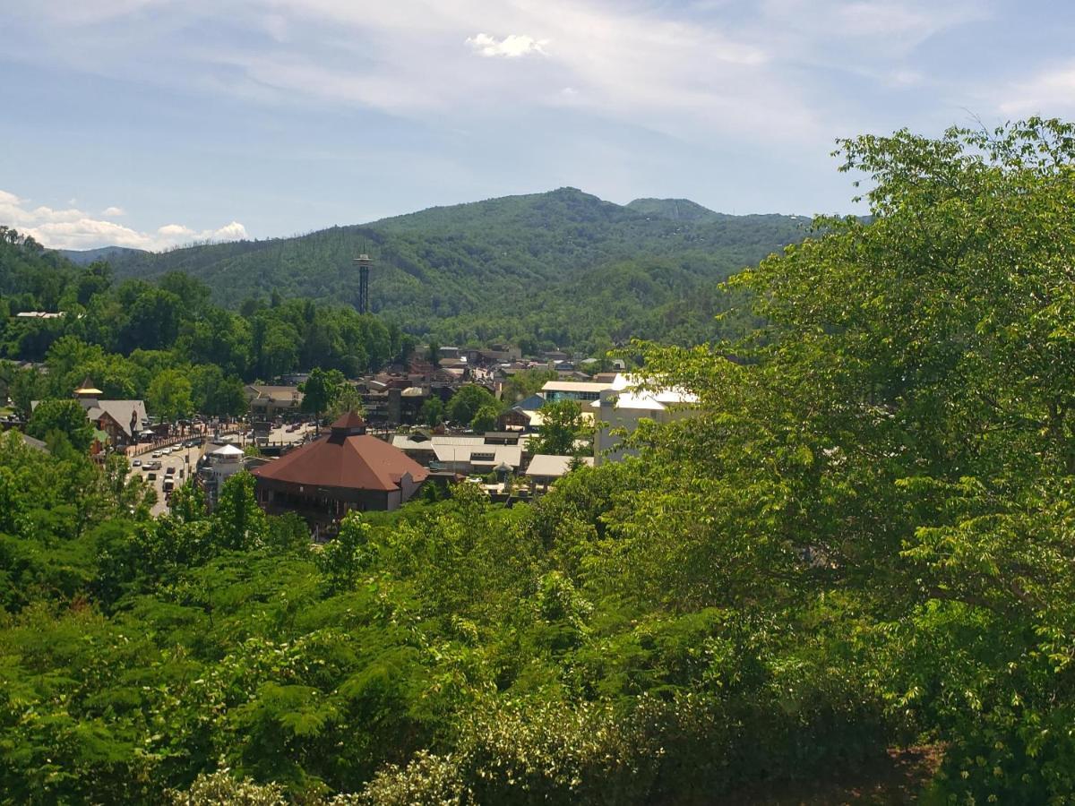 Gatlinburg Chateau Condo 503 Dış mekan fotoğraf