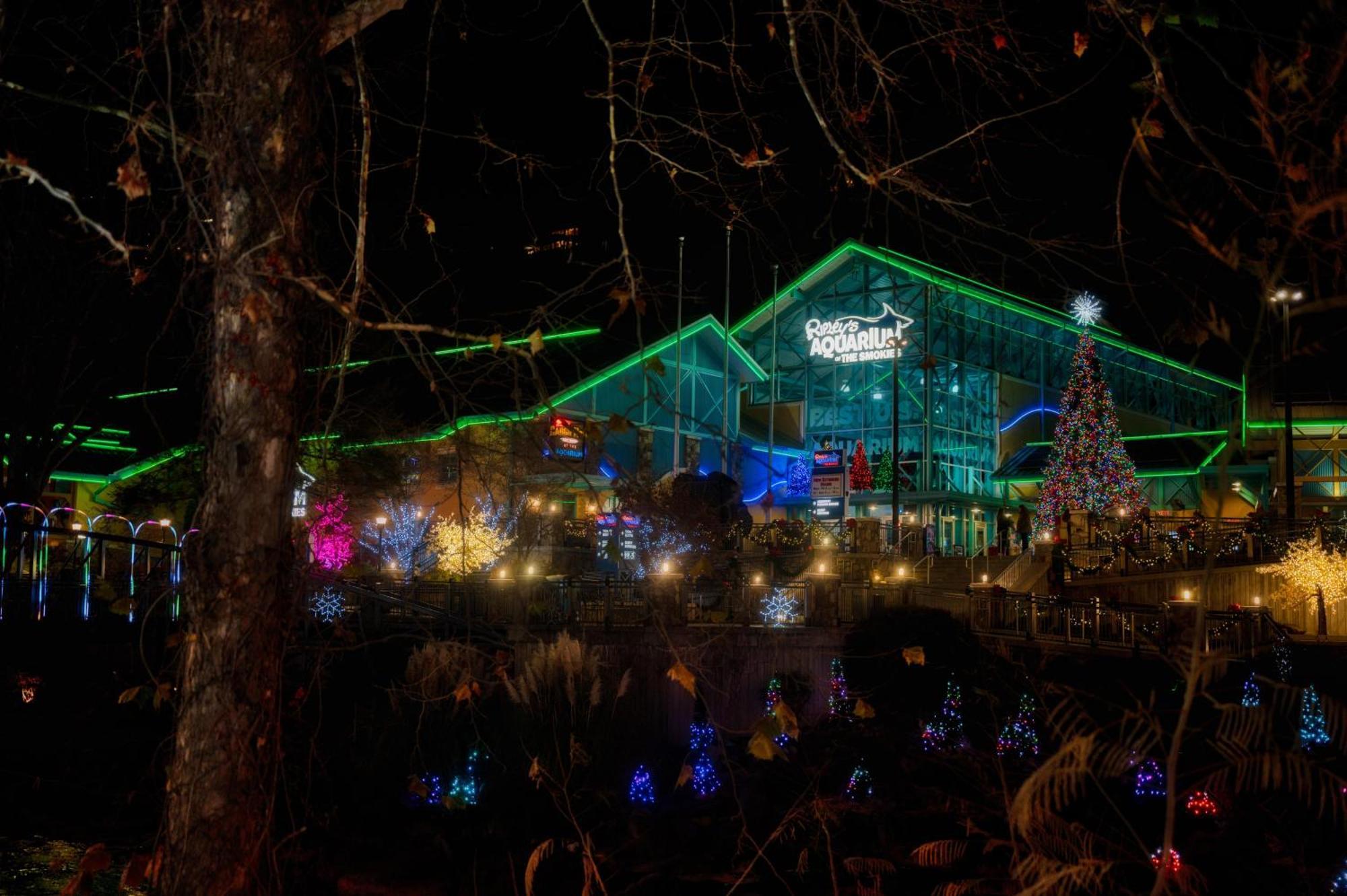 Gatlinburg Chateau Condo 503 Dış mekan fotoğraf